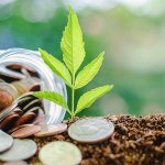 Perché l’investimento sostenibile offre sempre un doppio rendimento