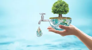 financialounge - Cosmo Schinaia ESG Fidelity International sostenibilità