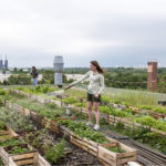 Cambiamento climatico, saranno le città a salvare il mondo