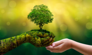 CANDRIAM raddoppia gli asset e dice addio alle emissioni di CO2
