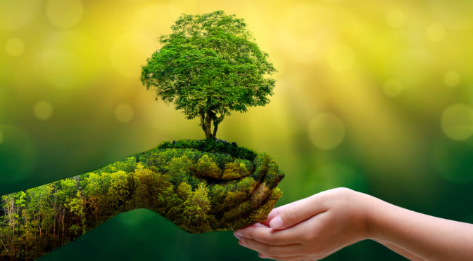 financialounge -  ESG fit for 55 Green Deal Kairos