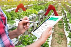 Il futuro dell'agricoltura? È nell'intelligenza artificiale