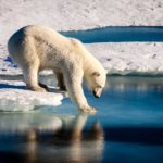 Earth Day: la decarbonizzazione è sempre più centrale nelle politiche d’investimento