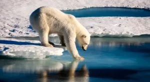 financialounge -  cambiamento climatico Candriam Elisa Vergine finanza sostenibile Koen Popleu