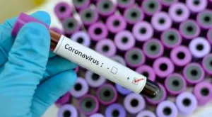 financialounge -  coronavirus GAM Tim Love