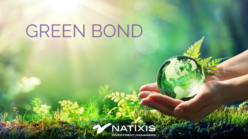 financialounge.com Green bond, un mercato dal grande potenziale