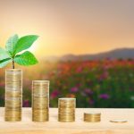 Pictet AM: il futuro dei mercati emergenti è verde