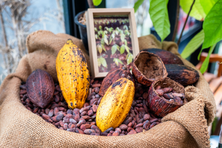 financialounge -  cacao commercio investimento Katherine Davidson Schroders