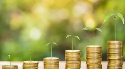 financialounge - ESG greenwashing mercati paul skinner wellington management