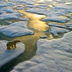 Vontobel: nel riscaldamento globale avvantaggiati i pionieri dell’efficienza energetica
