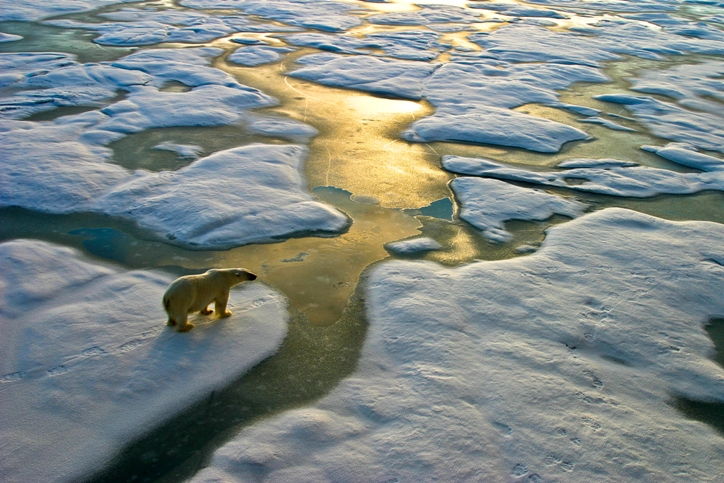 financialounge -  Climate Progress Dashboard coronavirus ESG finanza sostenibile riscaldamento globale Schroders