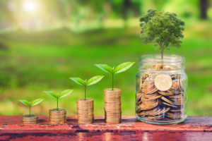 Investimenti Esg, battere il mercato con un profilo ambientale e sociale migliore