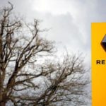 “Renault potrebbe scomparire”, così il ministro dell’Economia francese sulla crisi del settore auto