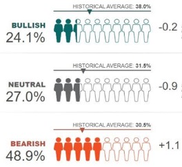 Le attese degli investitori individuali americani (Fonte: American Association of Individual Investors – settimana al 24 giugno)