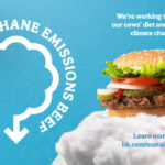 Arriva la dieta salutista per le mucche di Burger King