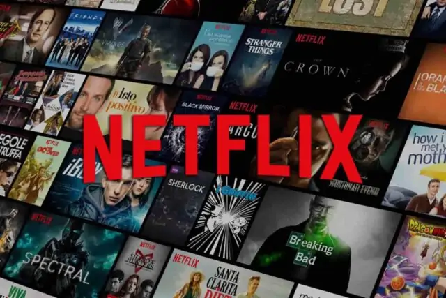 financialounge -  netflix Smart Life streaming