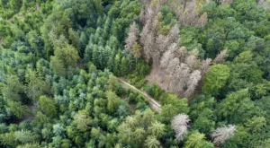 financialounge - Aberdeen Standard Investments cambiamento climatico ESG