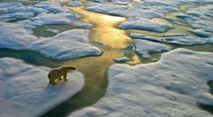 financialounge - Biodiversità cambiamento climatico DPAM ESG Ophélie Mortier