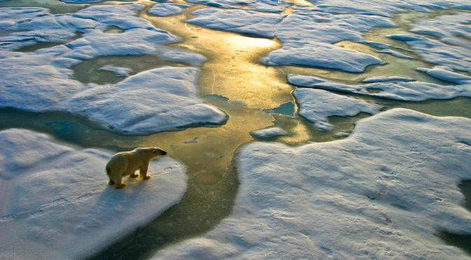 financialounge -  Biodiversità cambiamento climatico DPAM ESG Ophélie Mortier