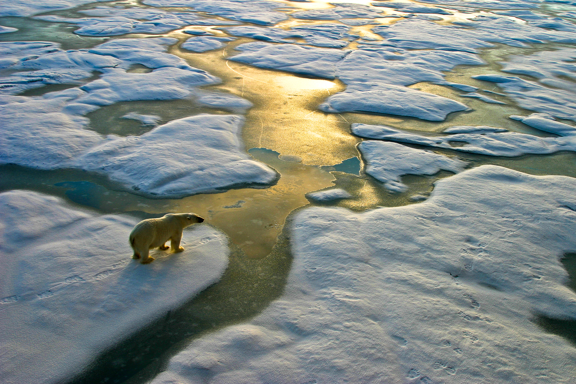 financialounge -  Biodiversità cambiamento climatico DPAM ESG Ophélie Mortier