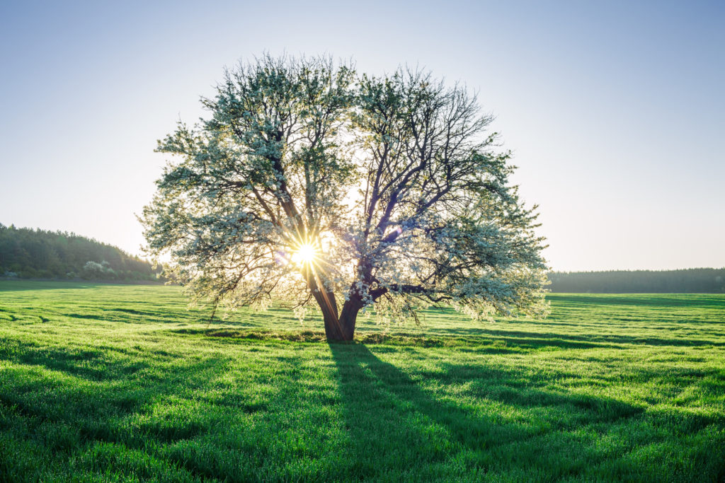 financialounge -  abrdn ESG Giornata della Terra impact investing Morning News Sarah Norris