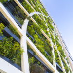 J.P. Morgan vede l’Europa protagonista del nuovo ciclo di innovazione green