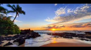 financialounge -  Covid-19 Hawaii pandemia smart working