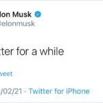 Elon Musk lascia Twitter a sorpresa