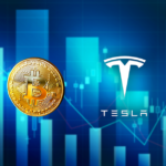 Il Bitcoin crolla, Musk potrebbe lasciare?