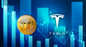 financialounge - bitcoin criptomonete Elon Musk Tesla