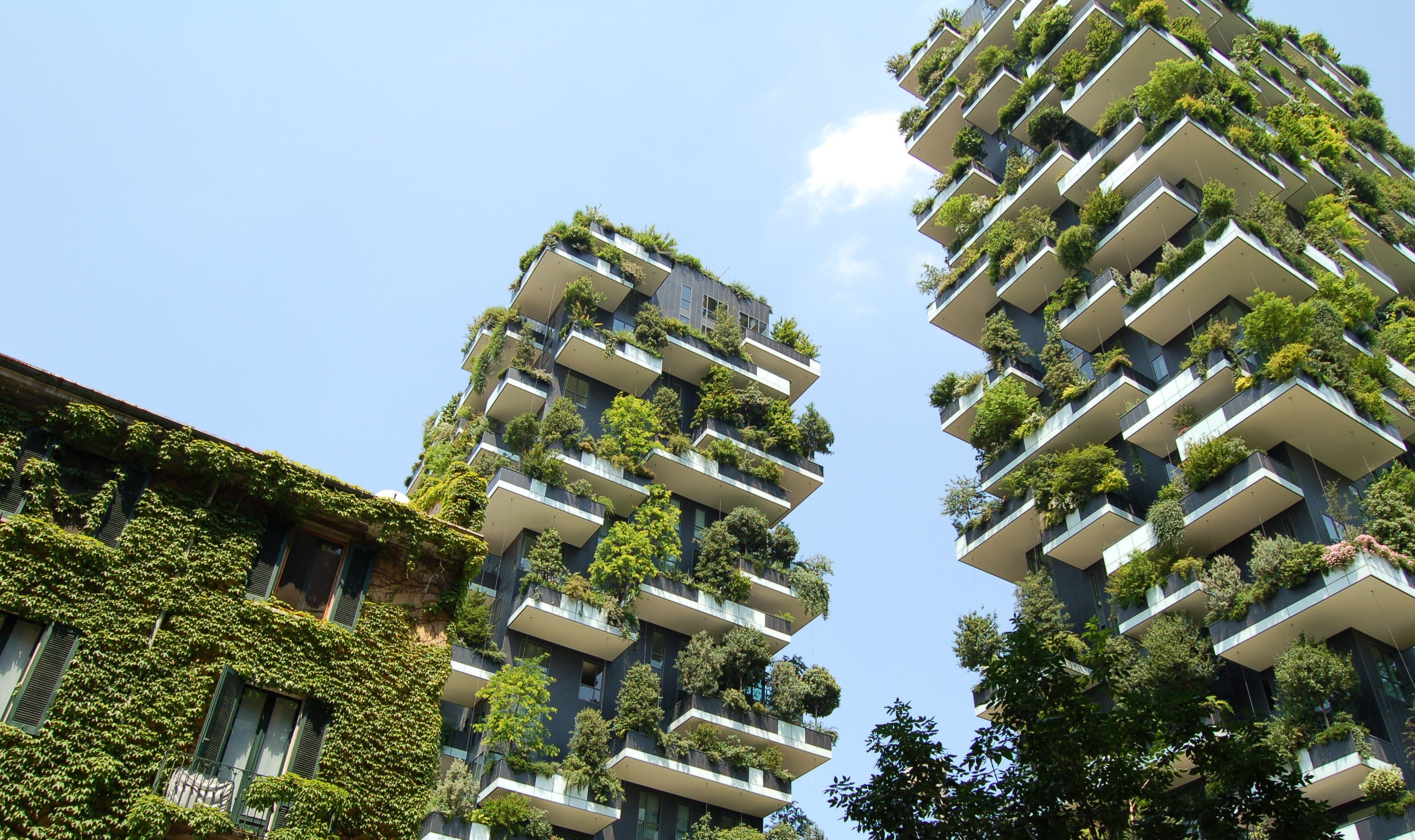 financialounge -  Bosco Verticale grattacielo immobiliare Mood