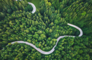 Conti alla Rovescia - ESG, perché è un macrotrend