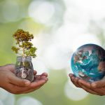 La COP15 riuscirà a invertire la rotta nella crisi della biodiversità?