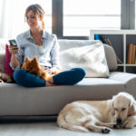 Mantenere cani e gatti è sempre più caro: ecco come risparmiare