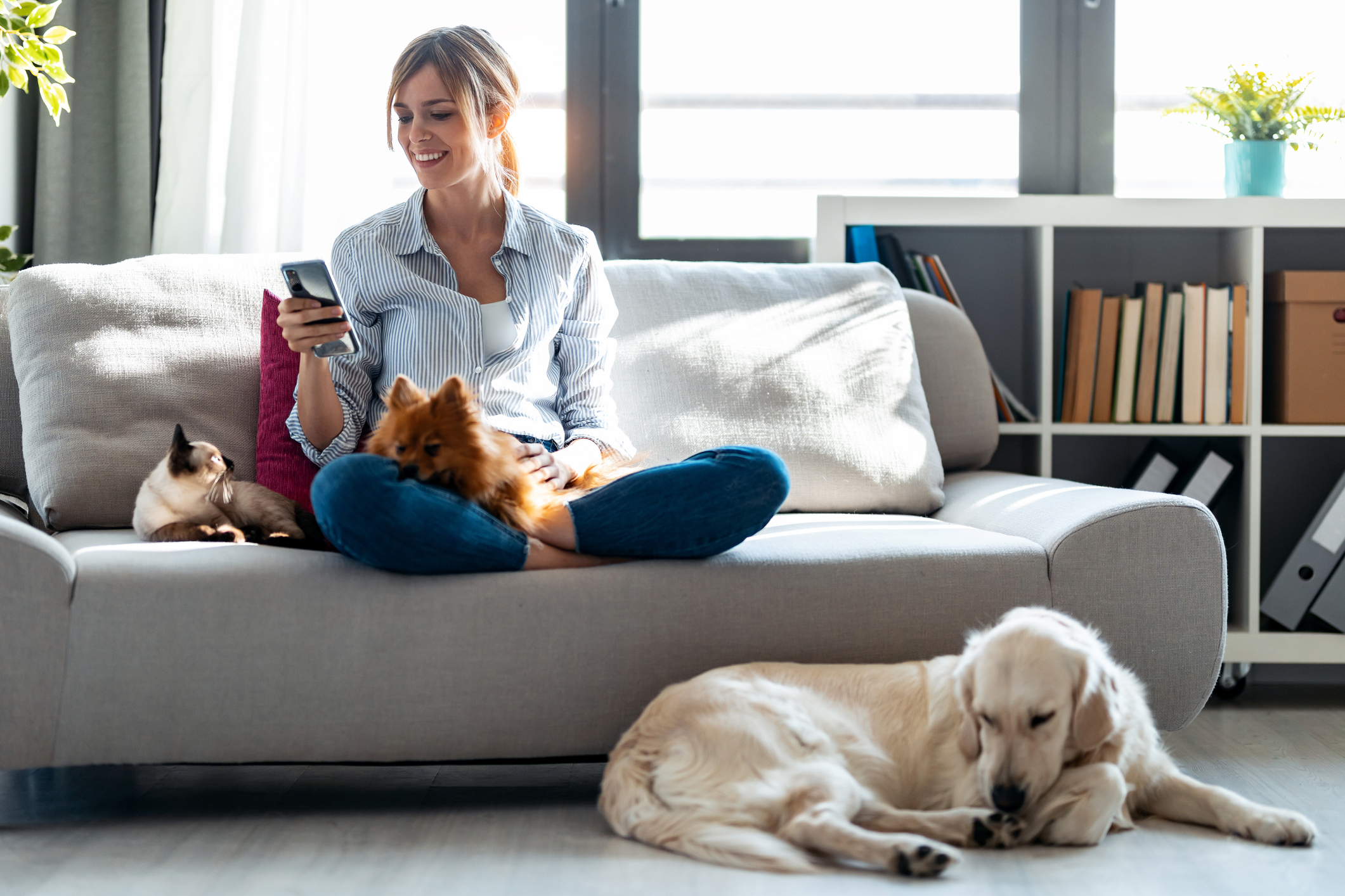 financialounge -  animali domestici baratto cane economia circolare gatto pet Riciclo smart