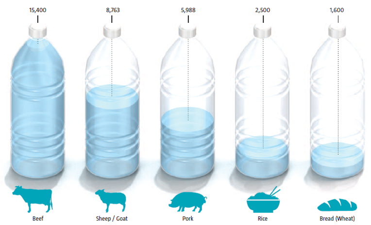 Группа 1 литр. Вода per. Литр картинка. Liter/litre. Сув бизнес 200 литр.