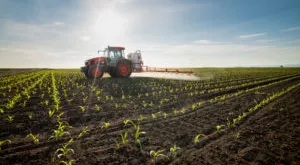 financialounge - Agroalimentare Felix Odey guerra Russia Ucraina Morning News Schroders