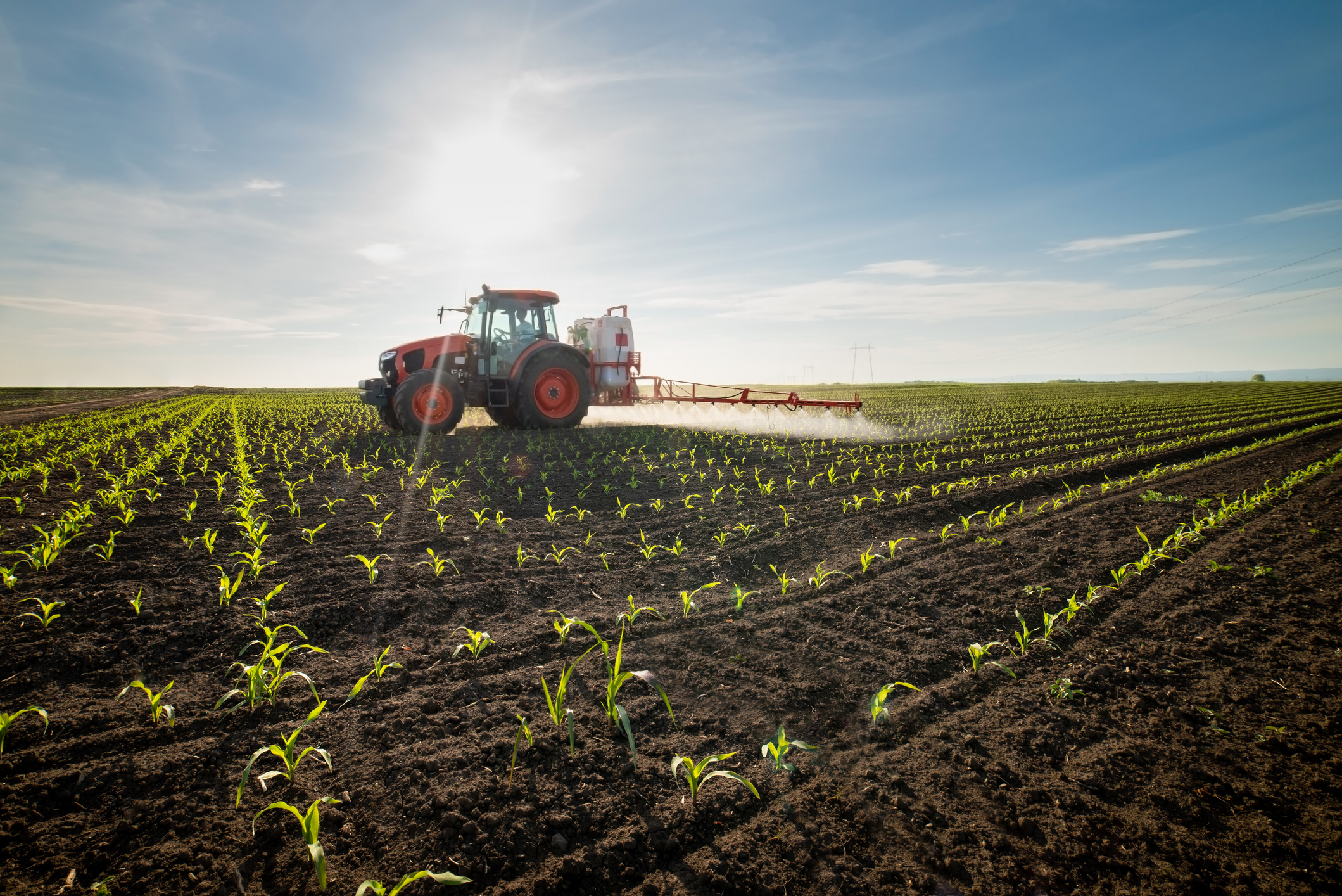 Perché per Schroders la sicurezza alimentare è una preoccupazione a lungo termine