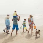 11 milioni in partenza con animali: le assicurazioni per viaggiare tranquilli