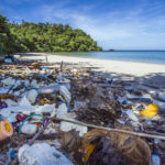 Un oceano di plastica rappresenta un problema anche per gli investitori