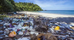 financialounge - daily news ESG finanza sostenibile Plastica Raiffeisen Capital Management