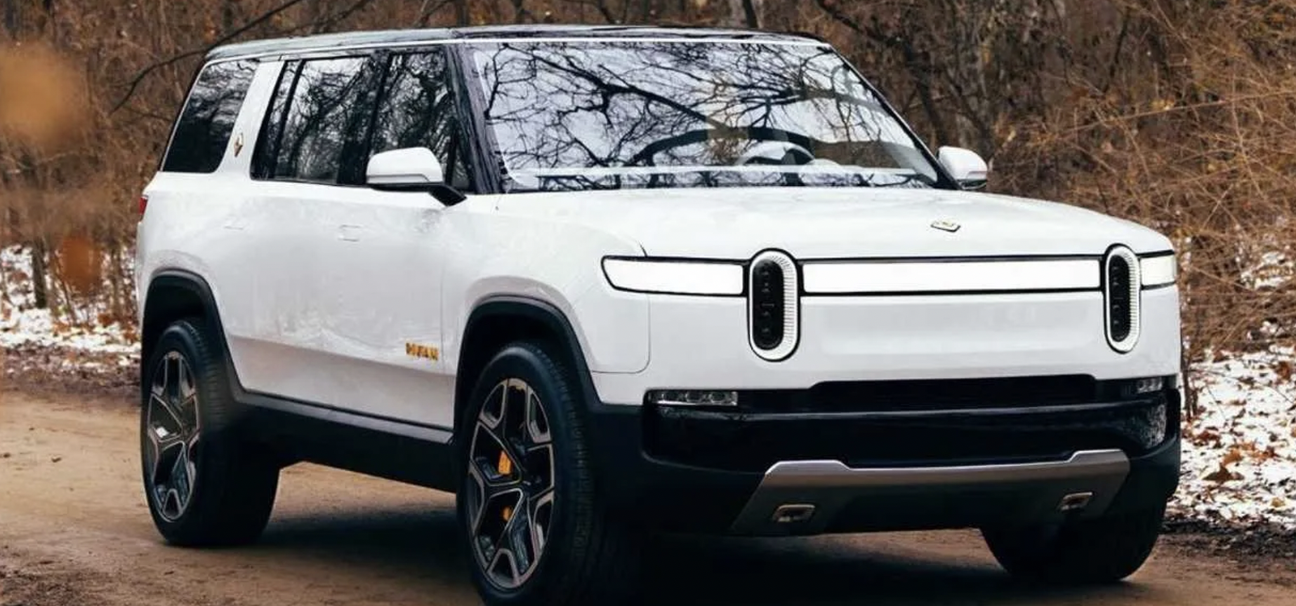 financialounge -  auto elettrica Rivian smart Tesla