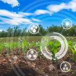 Food e agritech, i titoli caldi per algoritmi e intelligenza artificiale