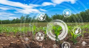 financialounge - agricoltura agritech Finscience intelligenza artificiale