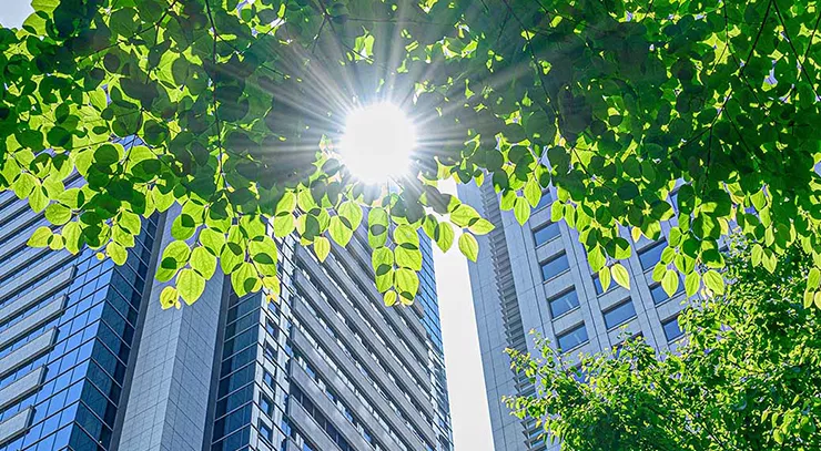 financialounge -  Contenuto offerto da Invesco