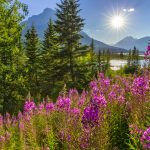 Perché difendere la biodiversità significa difendere l’economia