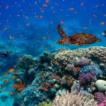 Etica Sgr chiede regole più solide per affrontare la biodiversità