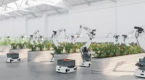 financialounge - Agroalimentare Finscience food innovation