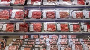 financialounge - benessere animale cambiamento climatico carne co2 emissioni ESG Masja Zandbergen Robeco