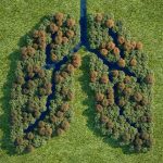 abrdn: la perdita di biodiversità si ferma intervenendo in quattro aree specifiche